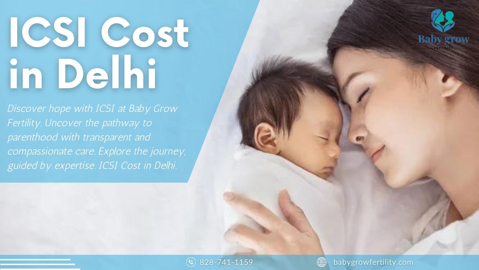 How Much Does ICSI Cost in Delhi 2024? How Much Does ICSI Cost in Delhi 2023?