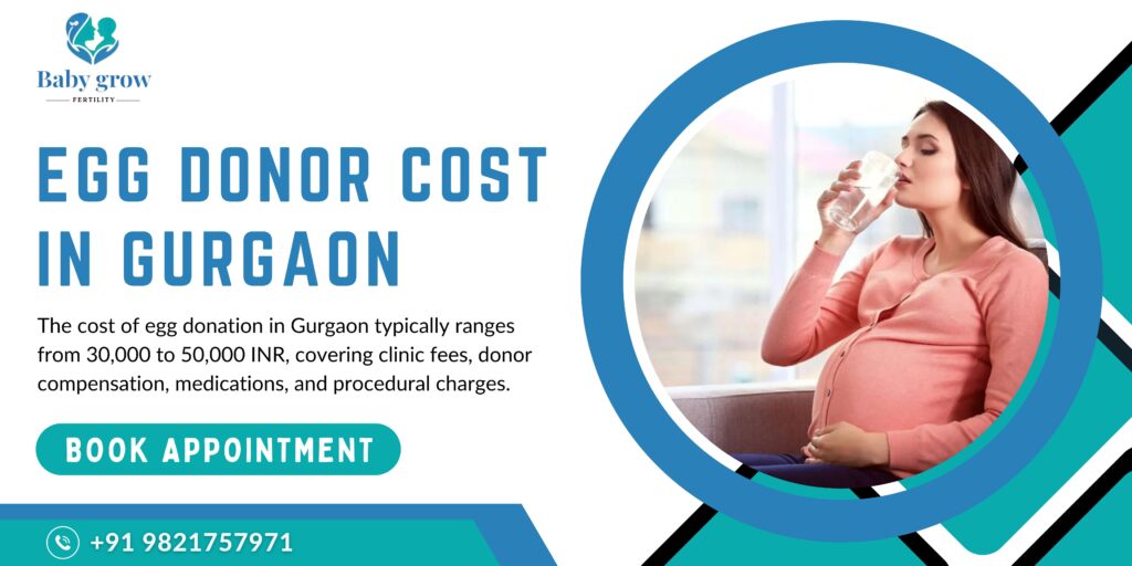 Egg Donor Cost in Gurgaon 2024 A Comprehensive Guide