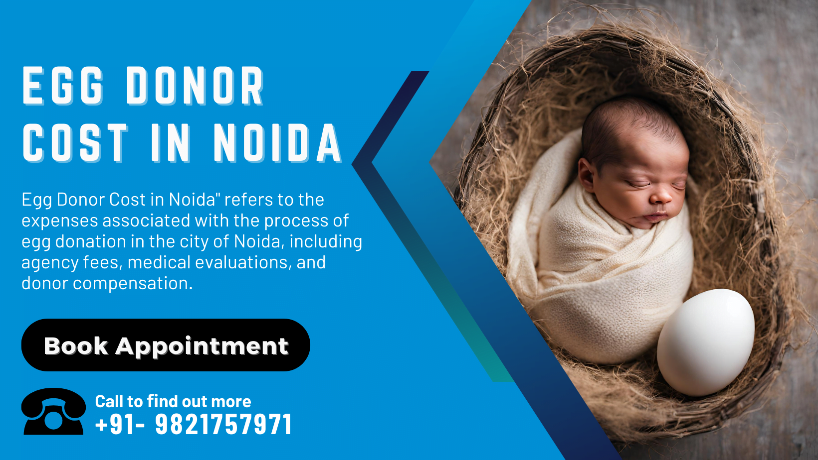 Egg Donor Cost in Noida 2024 Everything You Need to Know