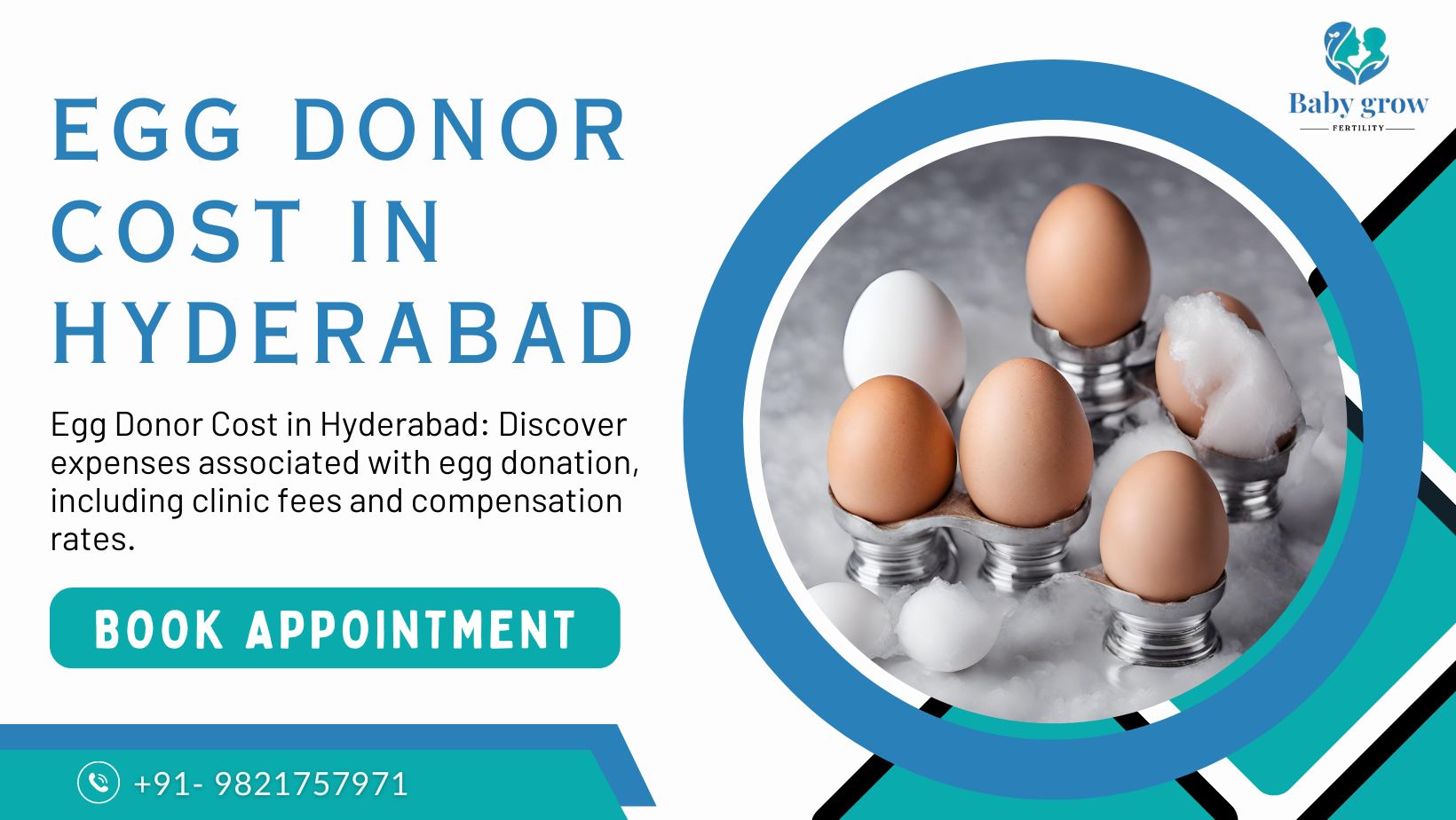 Egg Donor Cost in Hyderabad Egg Donor Cost in Hyderabad