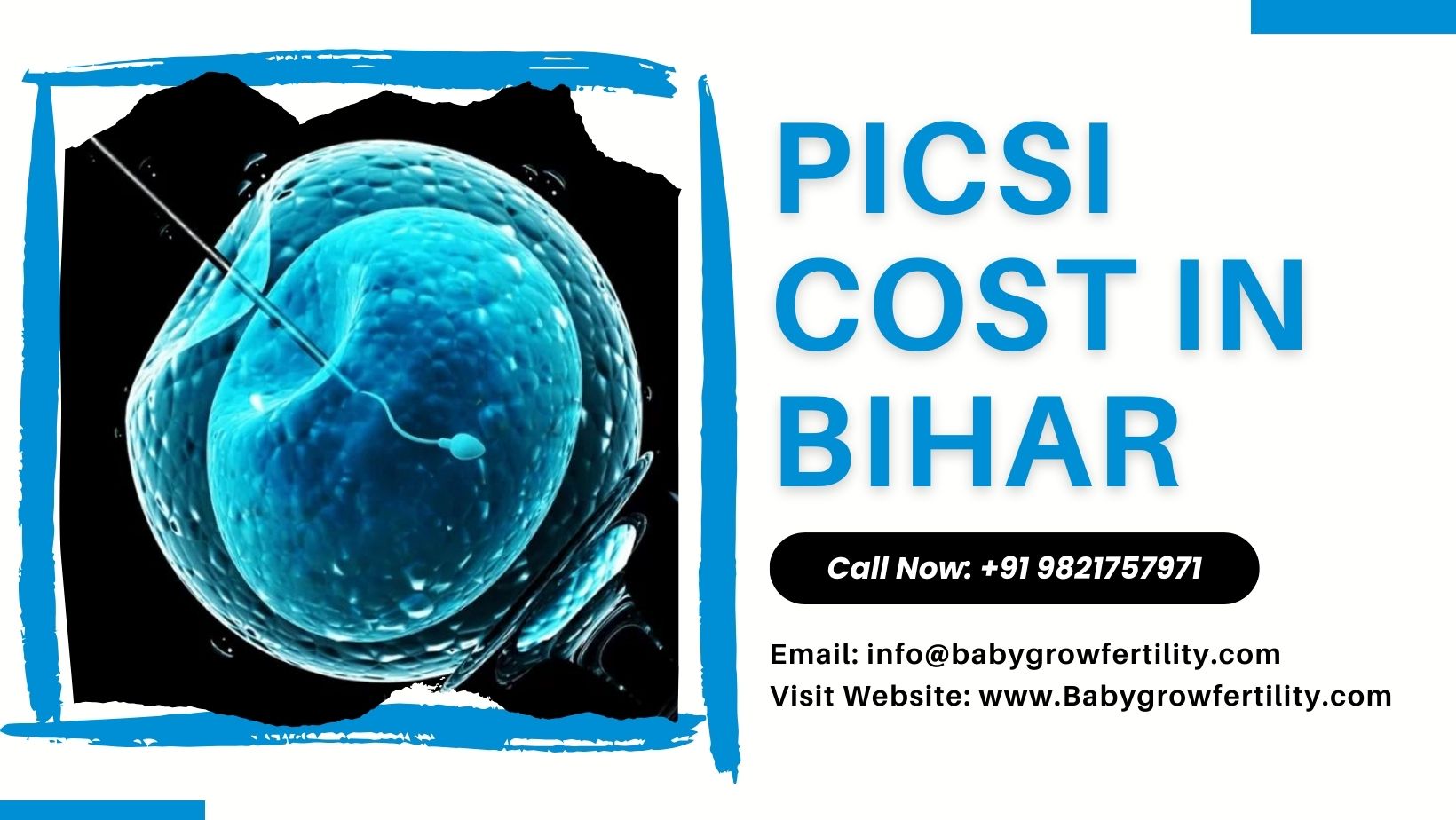 PICSI Cost in Bihar: Understanding the Procedure, Benefits, and Expenses PICSI Cost in Bihar