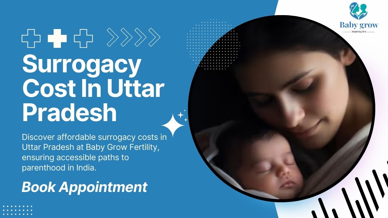 Surrogacy Cost in Uttar Pradesh 2025 – Your Path to Parenthood Starts Here! Surrogacy Cost In Uttar Pradesh